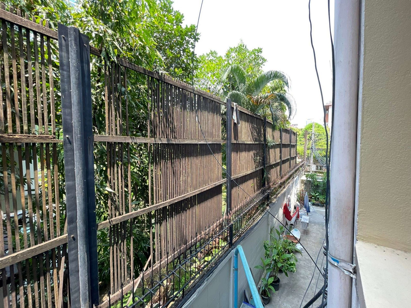 Lin Court (Sukhumvit 16)