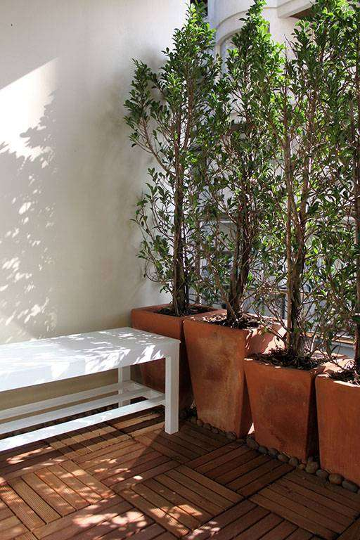 Serene Place Sukhumvit 24
